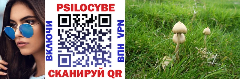 Галлюциногенные грибы Psilocybe закладка Нижний Ломов